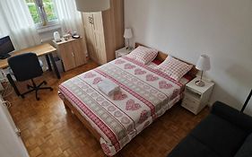 Room In Shared Apartment Geneva